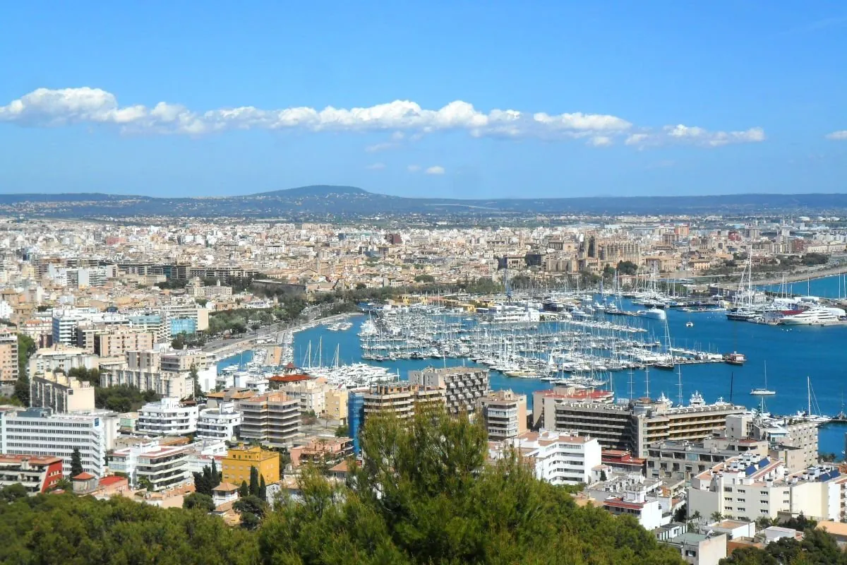 Vista desde lo alto sobre Palma de Mallorca, con el puerto deportivo lleno de veleros, la ciudad detrás, la catedral a la derecha y las montañas al fondo