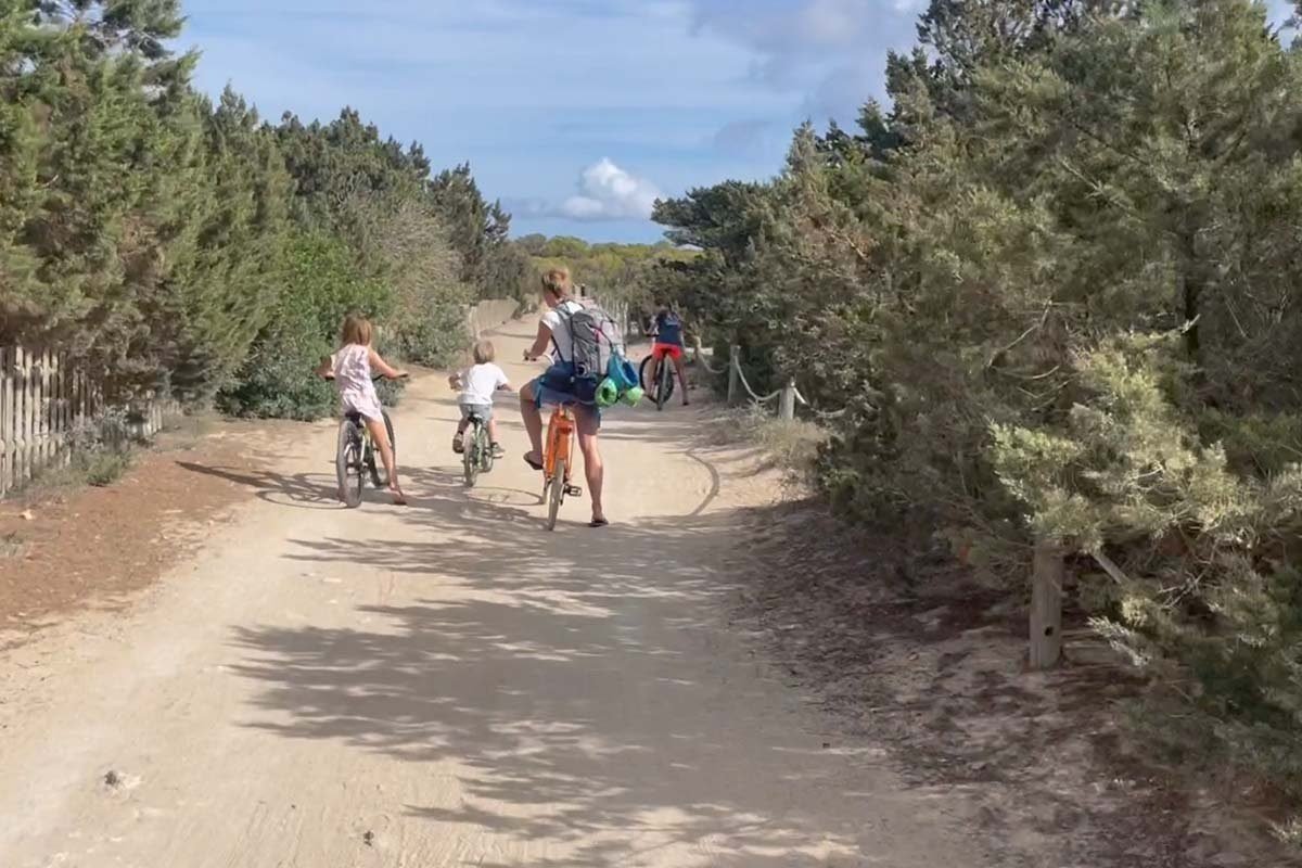 Una adulta y varios niños en bicicleta por un camino ancho de arena entre pinos bajos, con una mochila y bolsas de playa, y una valla de madera a un lado