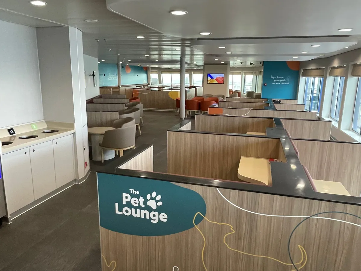 The Pet Lounge a bordo: boxes separados por tabiques de madera, sillas y mesas redondas, paredes azul petróleo con la frase Dogs leave paw prints on our hearts y ventanas a un lado